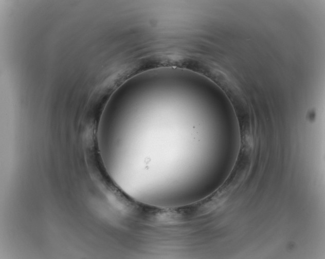 X0000091940468200709051526