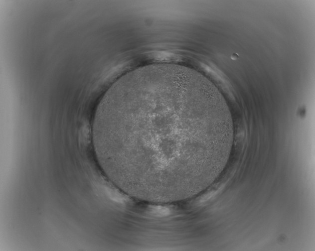 X0000091940469200709051526