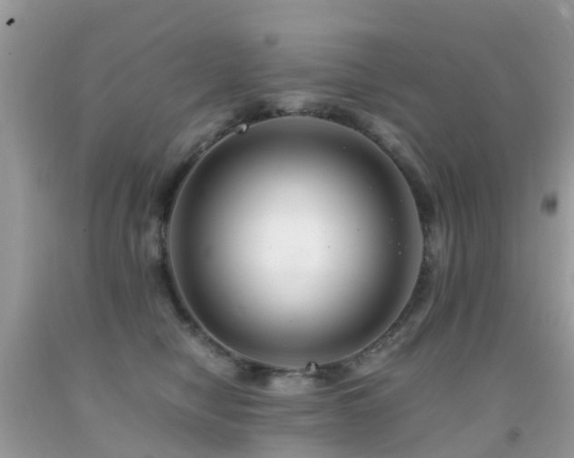 X0000091940470200709051526