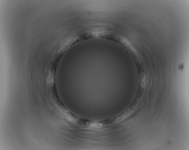 X0000091940471200709051526