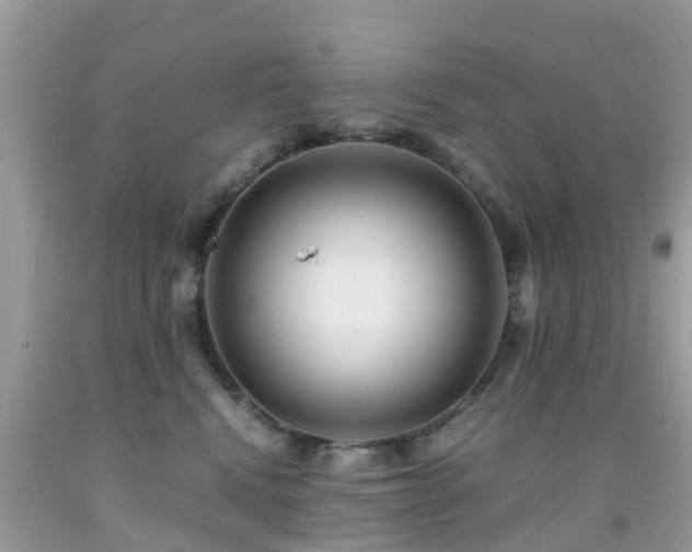 X0000091940472200709051526