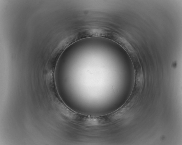 X0000091940473200709051526