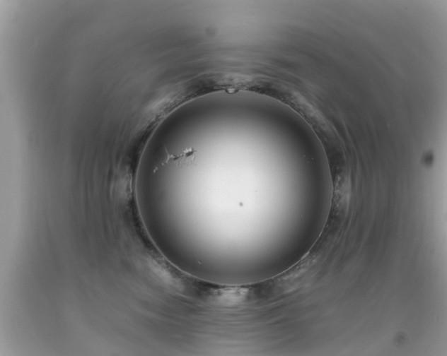 X0000091940474200709051526