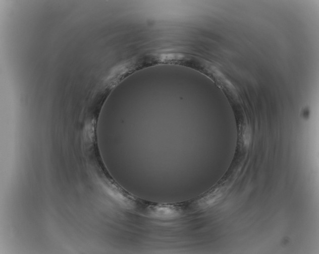 X0000091940475200709051526