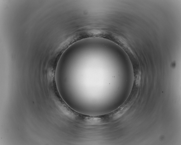 X0000091940476200709051526