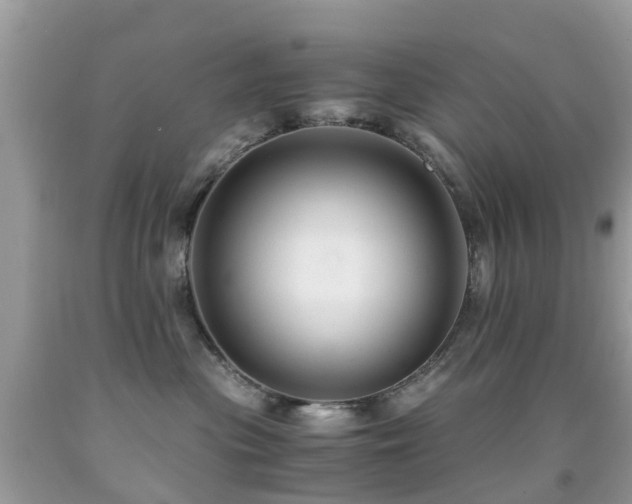 X0000091940477200709051526