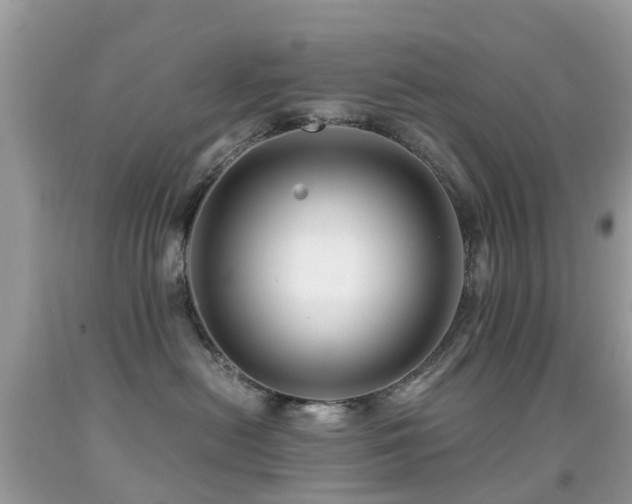 X0000091940478200709051526