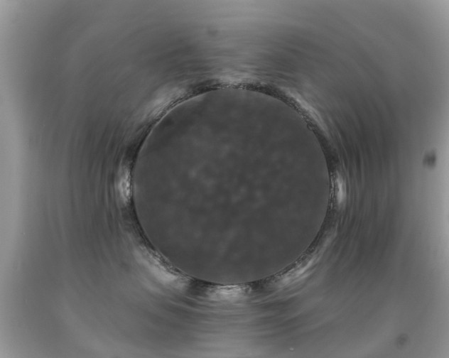 X0000091940479200709051526