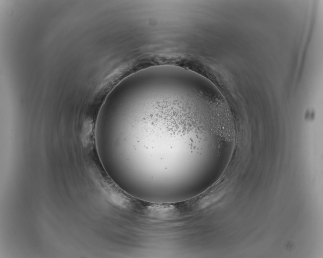 X0000091940480200709051526