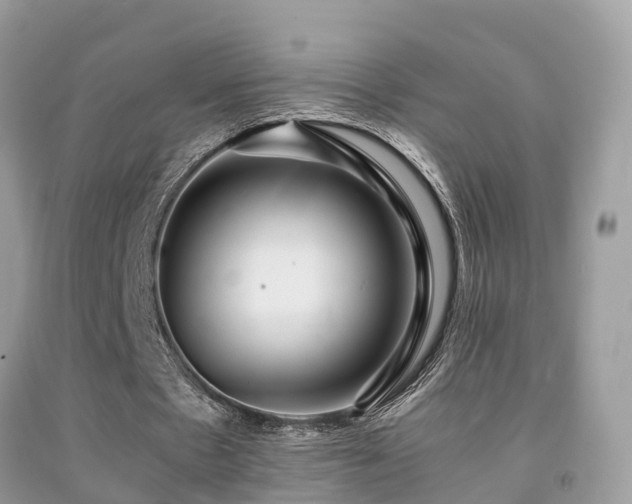 X0000091940481200709051526