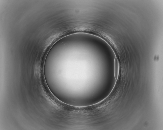 X0000091940482200709051526