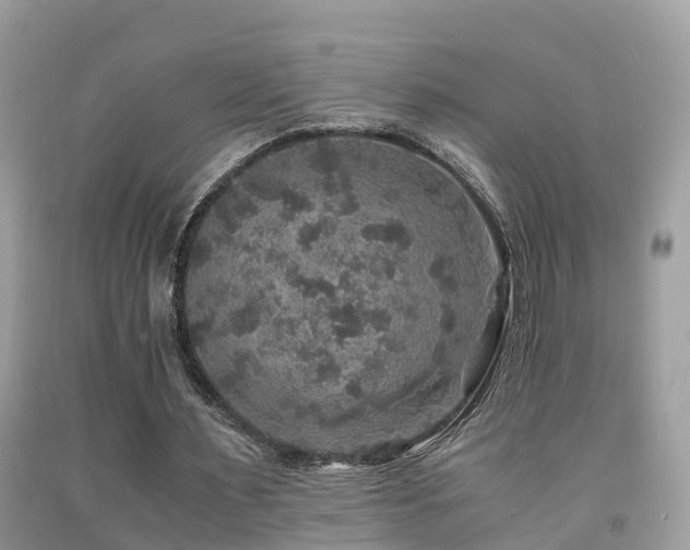 X0000091940483200709051526