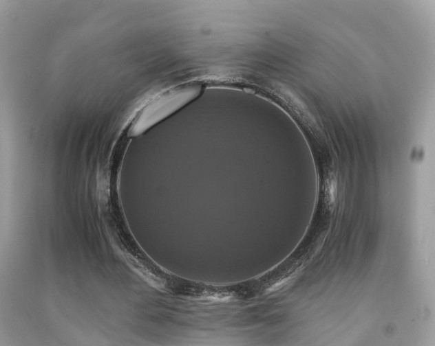 X0000091940484200709051526