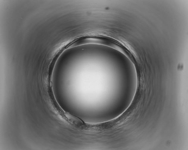 X0000091940485200709051526