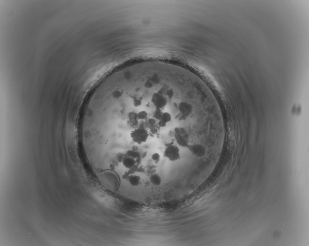 X0000091940487200709051526