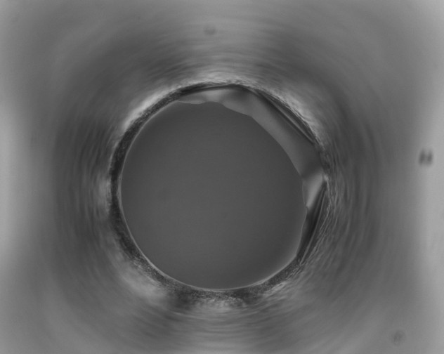 X0000091940488200709051526