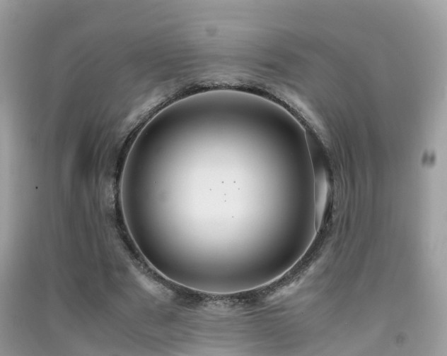 X0000091940489200709051526