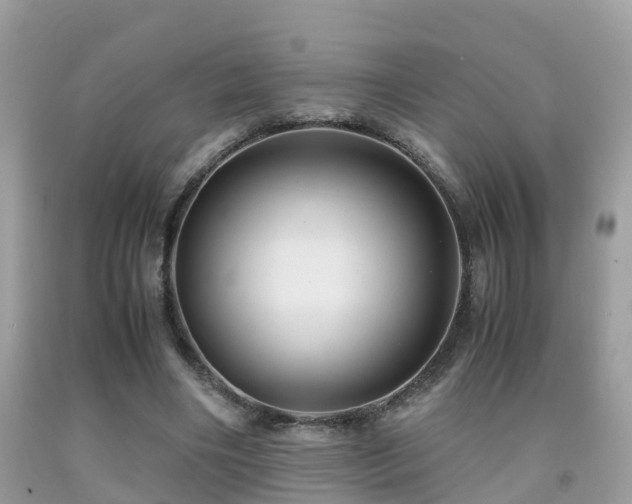 X0000091940490200709051526