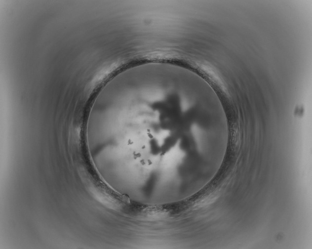 X0000091940491200709051526