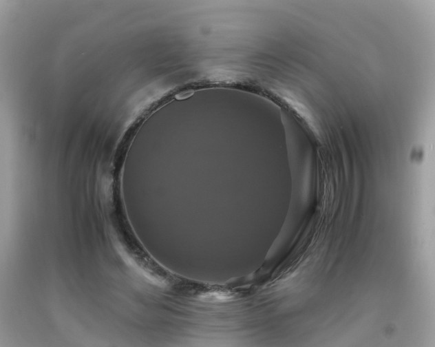 X0000091940492200709051525