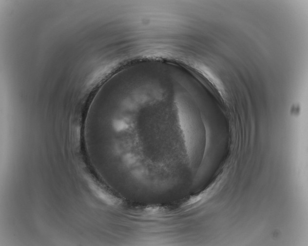 X0000091940493200709051525