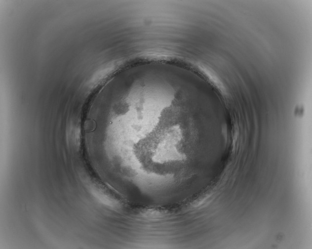 X0000091940494200709051525