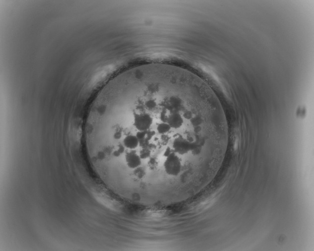 X0000091940495200709051525