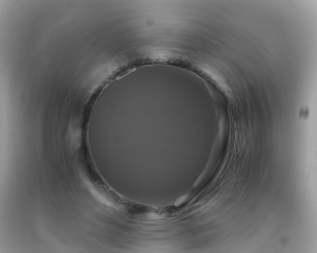 X0000091940496200709051525