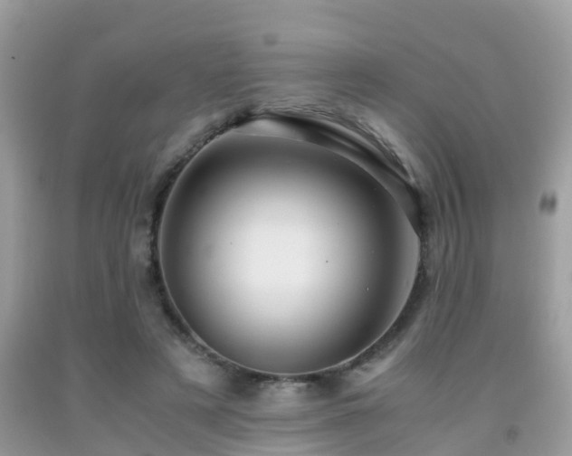 X0000091940497200709051525