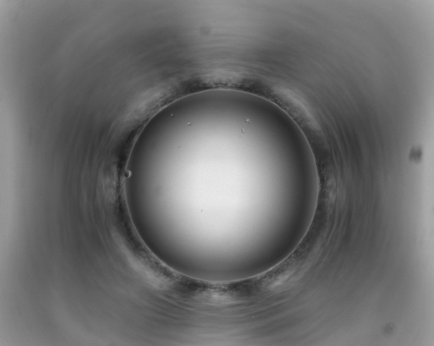 X0000091940498200709051525