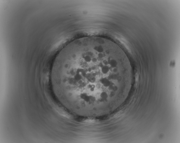 X0000091940499200709051525