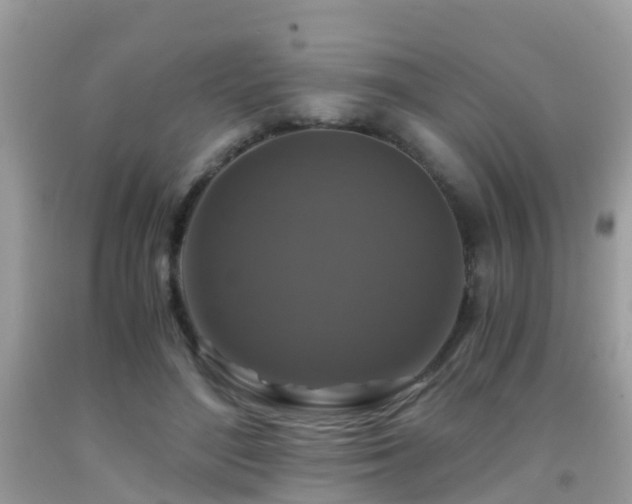 X0000091940500200709051525