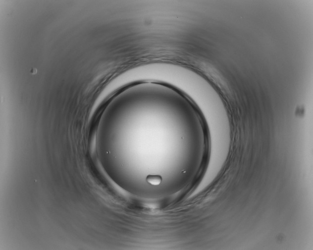 X0000091940501200709051525