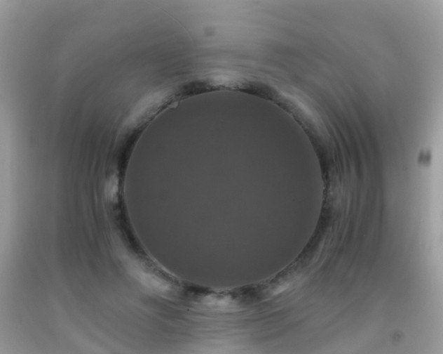 X0000091940502200709051525