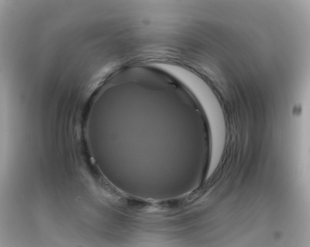 X0000091940504200709051525