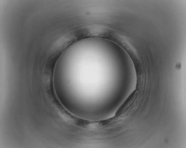 X0000091940505200709051525