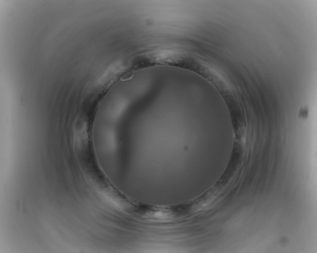 X0000091940506200709051525