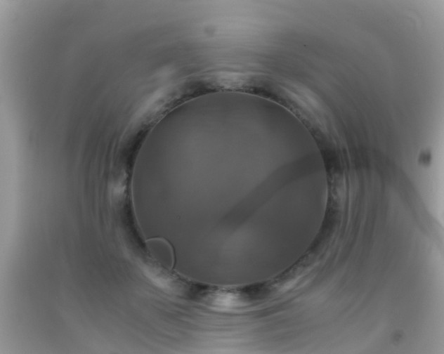 X0000091940507200709051525