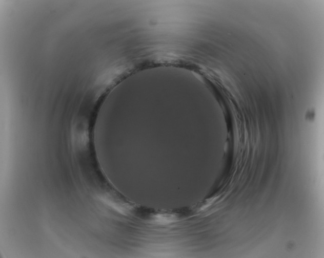 X0000091940508200709051525