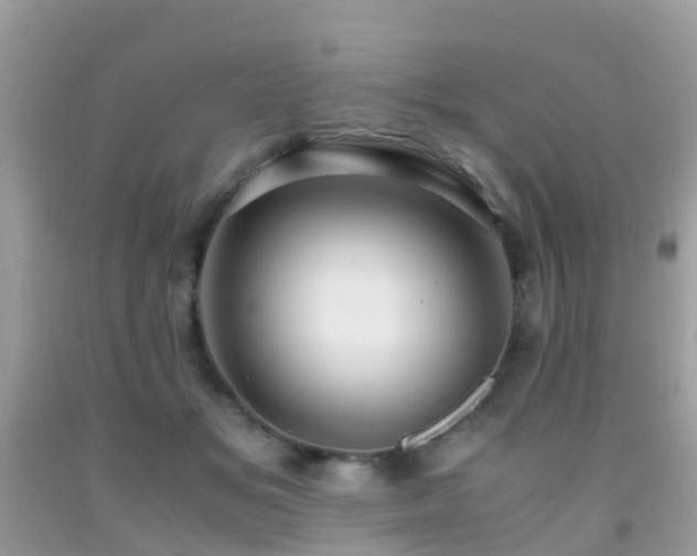 X0000091940509200709051525