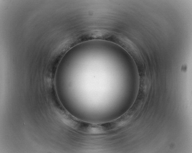 X0000091940510200709051525