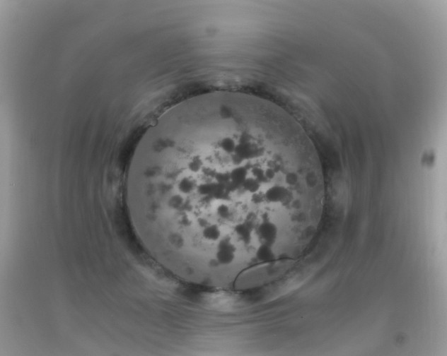 X0000091940511200709051525