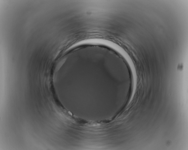 X0000091940512200709051525