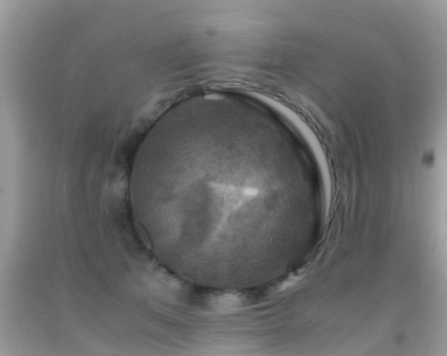 X0000091940513200709051525