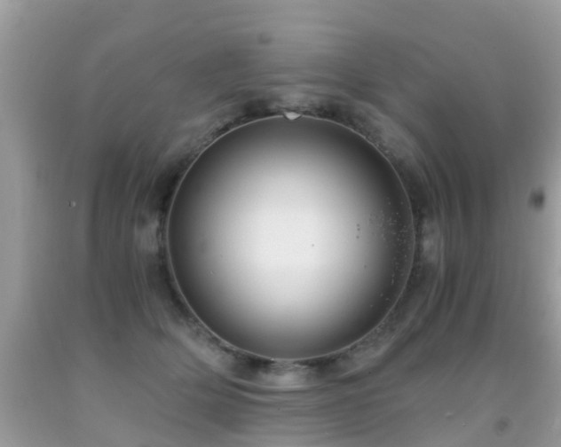 X0000091940514200709051525