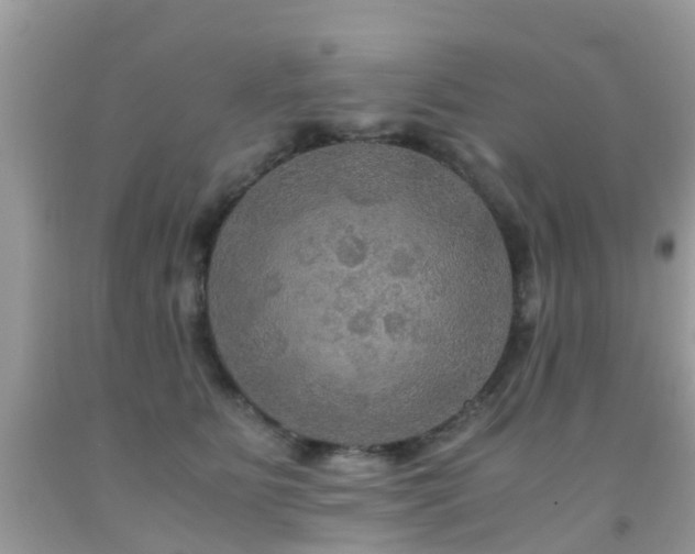 X0000091940515200709051525