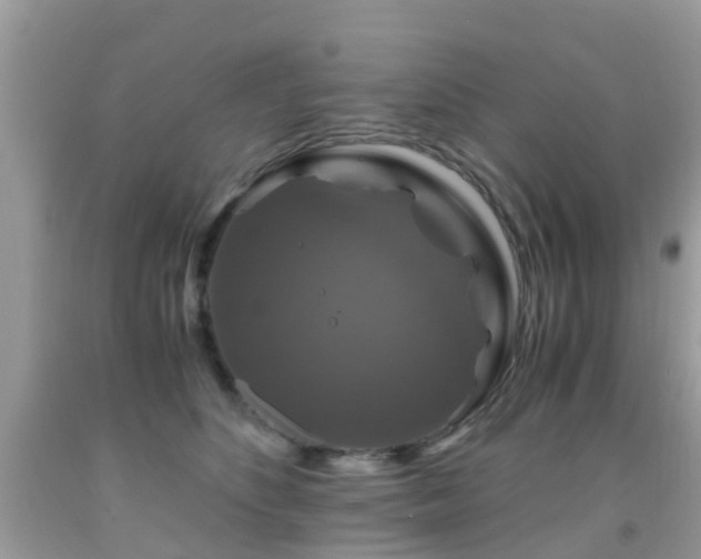 X0000091940516200709051525