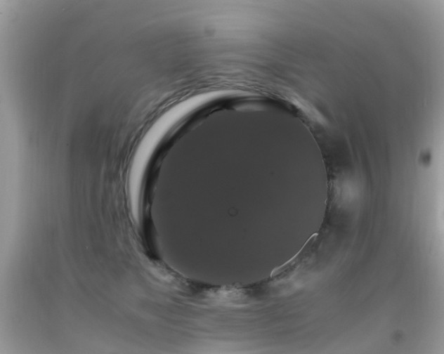 X0000091940517200709051525