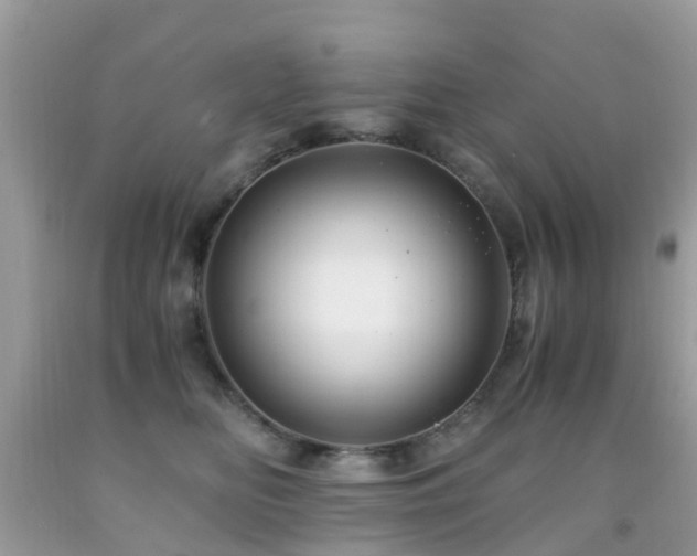 X0000091940518200709051525