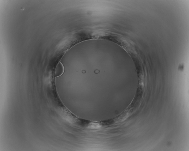 X0000091940519200709051525